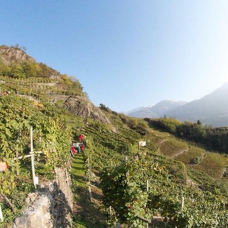 Winebnb Sondrio Exterior foto
