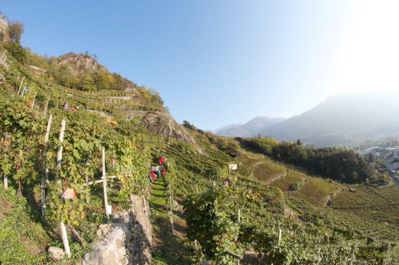 Winebnb Sondrio Exterior foto